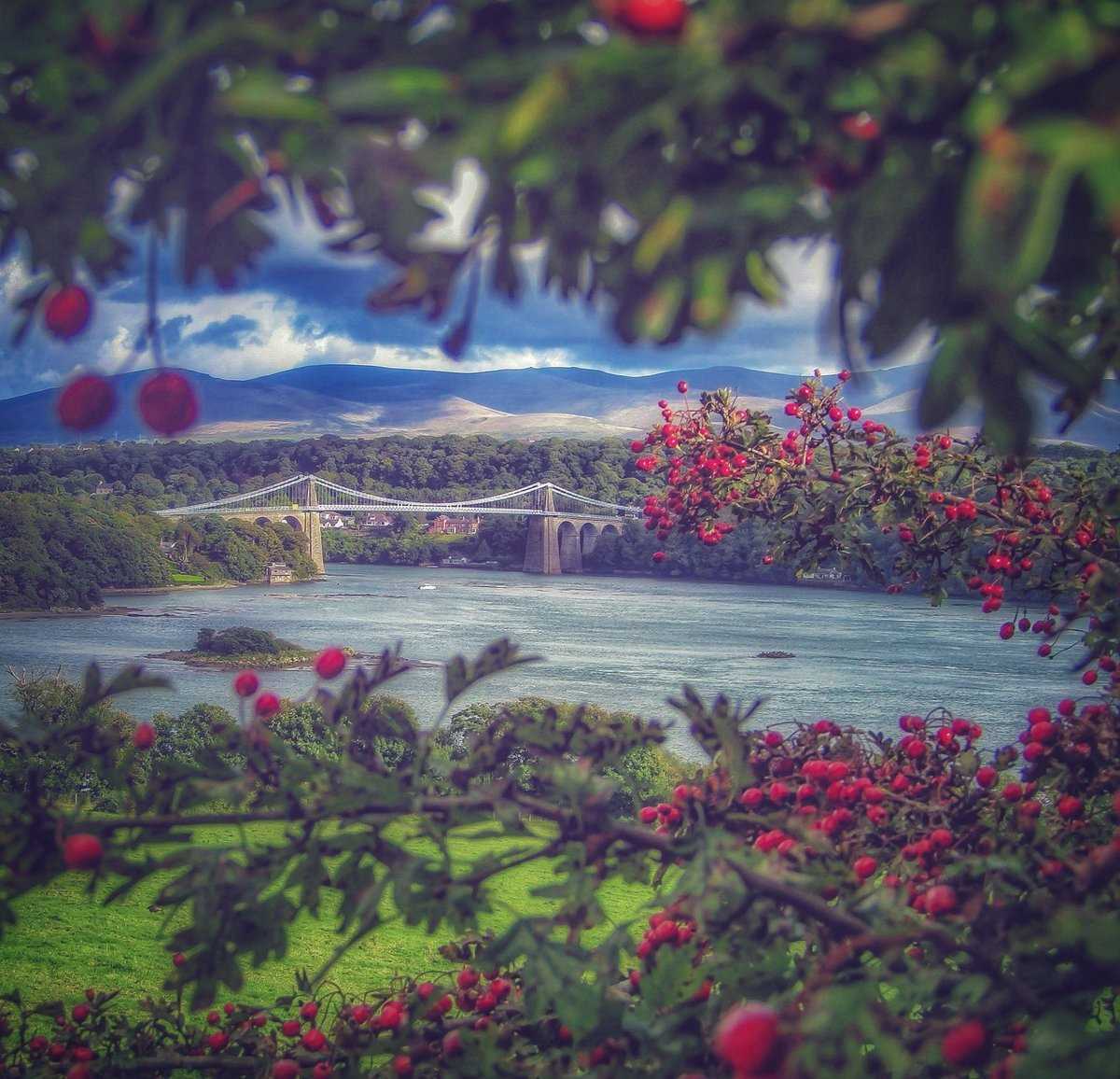 A Very Berry Strait View', Menai Bridge (May 2019)